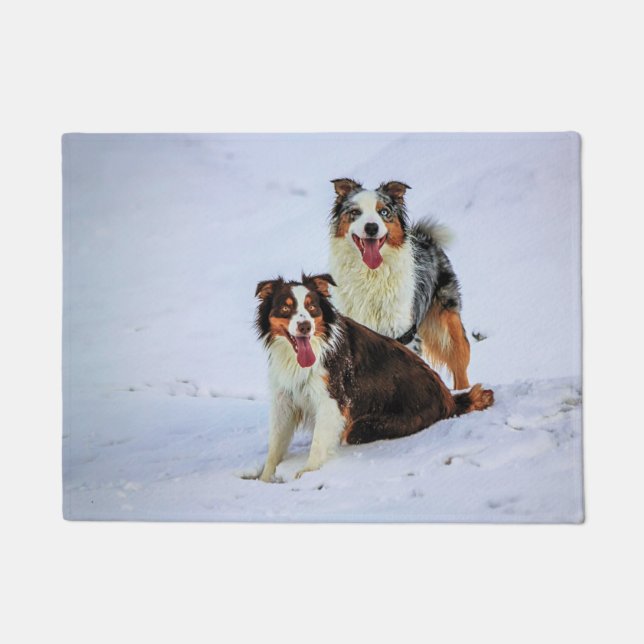 Paillasson Chiens australiens de couples de berger (Devant)