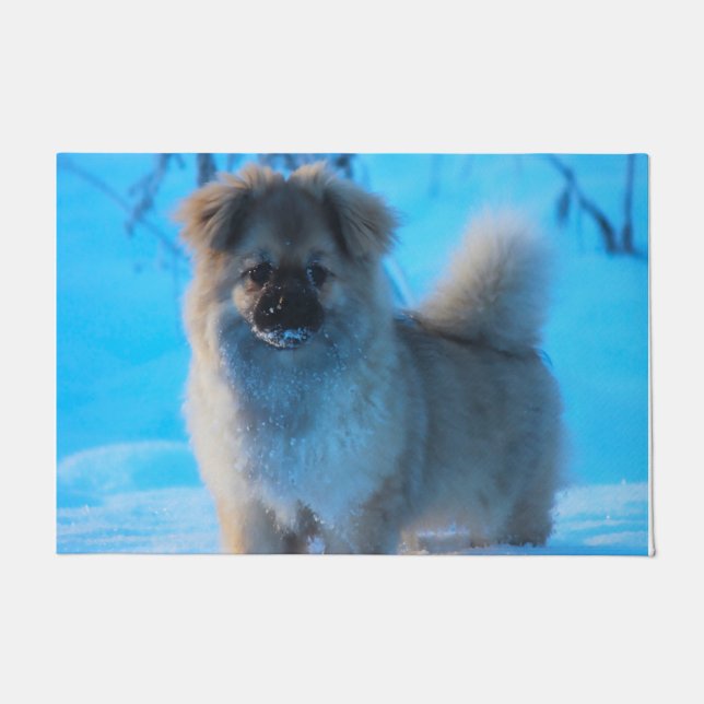 Paillasson Chiens Espagnols Tibétains. (Devant)