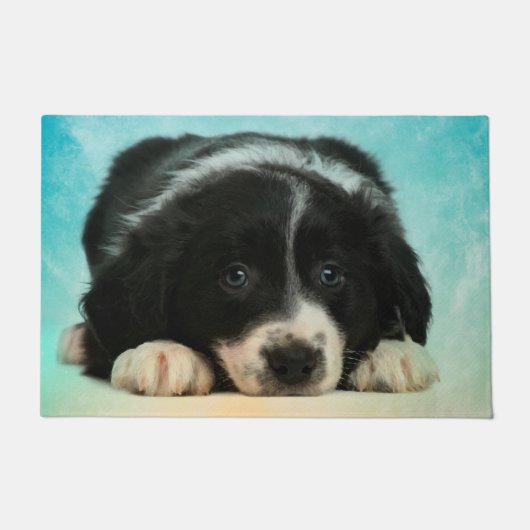 Paillasson Chiot de border collie (Devant)