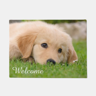 Paillasson Chiot de golden retriever rêvant l'accueil