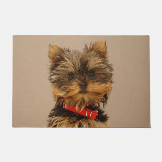 Paillasson Chiot de Yorkshire Terrier (Devant)