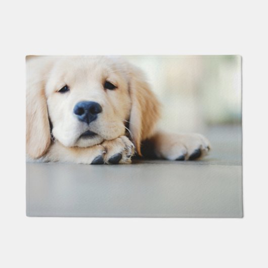 Paillasson Chiot doré de l'équipe de rétrification (Devant)