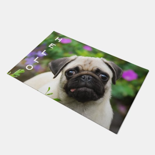 Paillasson Chiot fauve mignon de carlin, personnalisé bonjour (Incliné)