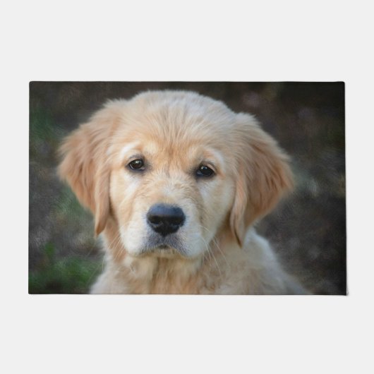 Paillasson Chiot Golden Retriever (Devant)