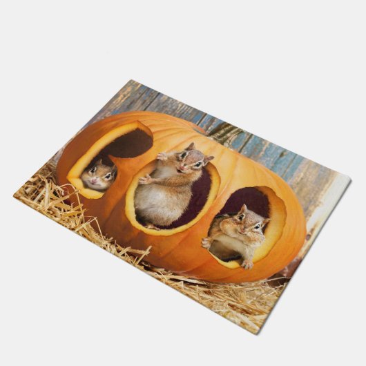 Paillasson Chipmunks à l'intérieur de Boo Jack-o-Lantern (Incliné)