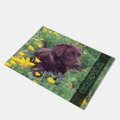 Paillasson Chocolat Labrador Retriever Dog in Orange Poppies (Incliné)