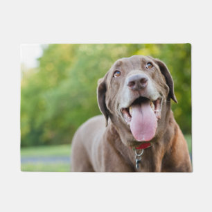 Paillasson Chocolate Labrador Dog