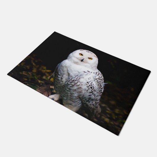 Paillasson Chouette hivernale majestueuse (Incliné)