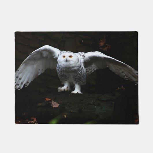 Paillasson Chouette neige avec ailes ouvertes dmcnm (Devant)