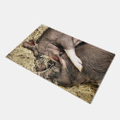 PAILLASSON COCHONS DE SOMMEIL (Incliné)