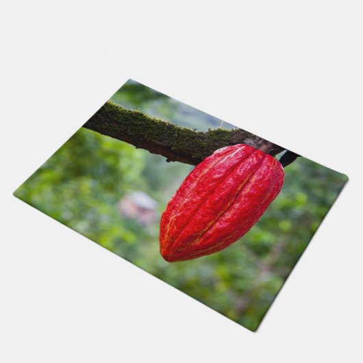 Paillasson cocod (Incliné)