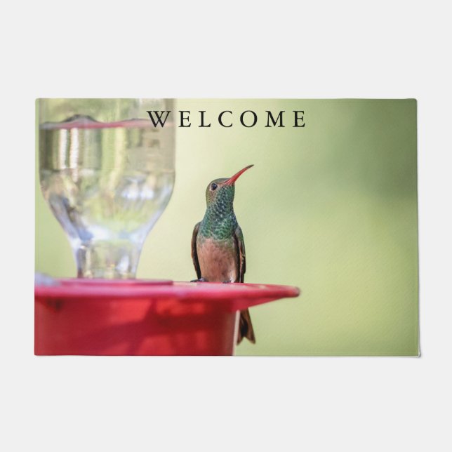 Paillasson Colibri à ventre cassé au Texas (Devant)