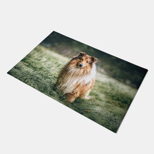 Paillasson Collie dans le Comté de Rough (Incliné)