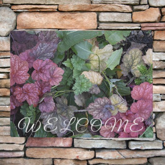 Paillasson Colorful Heuchera Plante Feuille Botanique