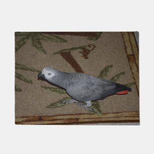 Paillasson Congo Le perroquet gris au sol