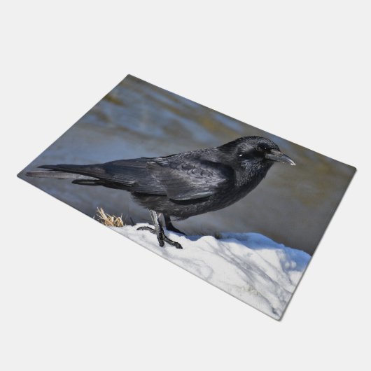 Paillasson Corbeau commun (Incliné)