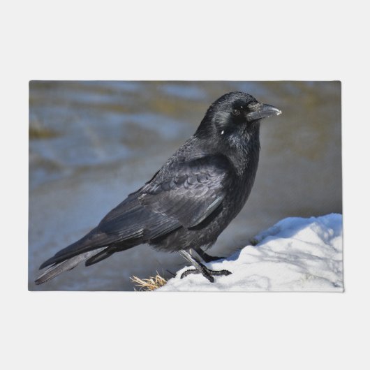 Paillasson Corbeau commun (Devant)