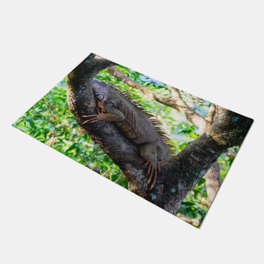 Paillasson Costa Rica, Muelle - Lazy Iguana reposant dans un  (Incliné)