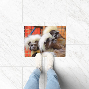 PAILLASSON COTON - TOP TAMARIN SINGES