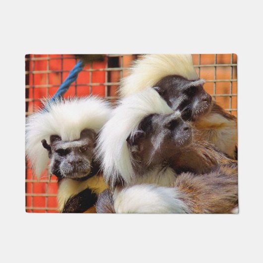 PAILLASSON COTON - TOP TAMARIN SINGES (Devant)