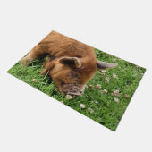 PAILLASSON COUPER (Incliné)