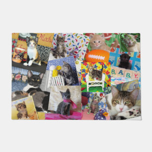 Paillasson Crazy Cat Lady Doormat (24 X 36)