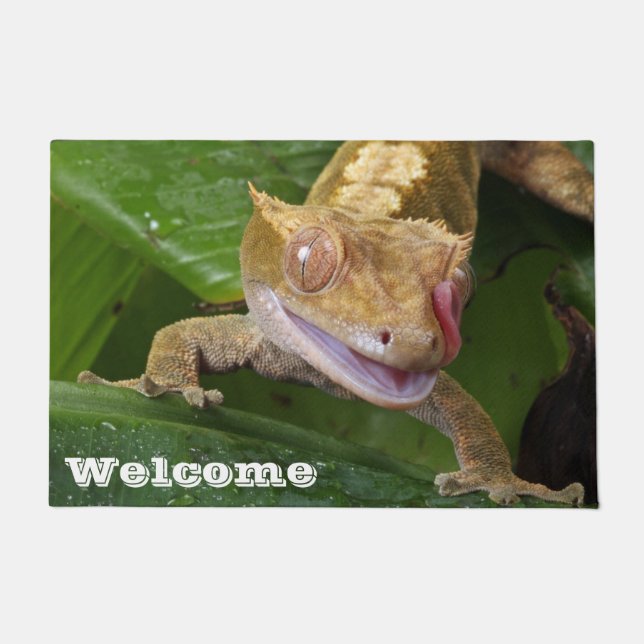 Paillasson Crested Gecko (Devant)