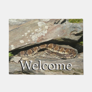 Paillasson Crotale dans le parc national de Shenandoah