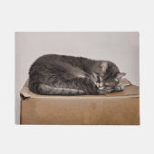 Paillasson Cuisine Tabby Chat Dormant Sur Une Boîte (Devant)