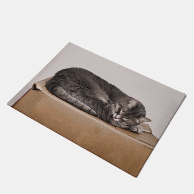 Paillasson Cuisine Tabby Chat Dormant Sur Une Boîte (Incliné)