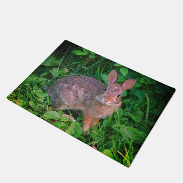 Paillasson Cute Wild Brown Rabbit Faune (Incliné)