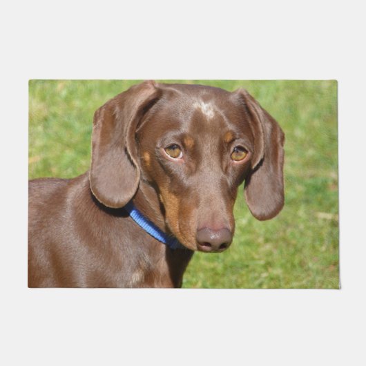 Paillasson Dachshund (Devant)