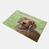 Paillasson Dachshund (Incliné)