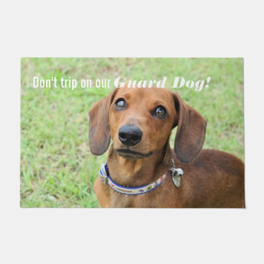 Paillasson Dachshund (Devant)