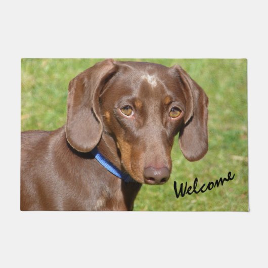 Paillasson Dachshund  doormat (Devant)