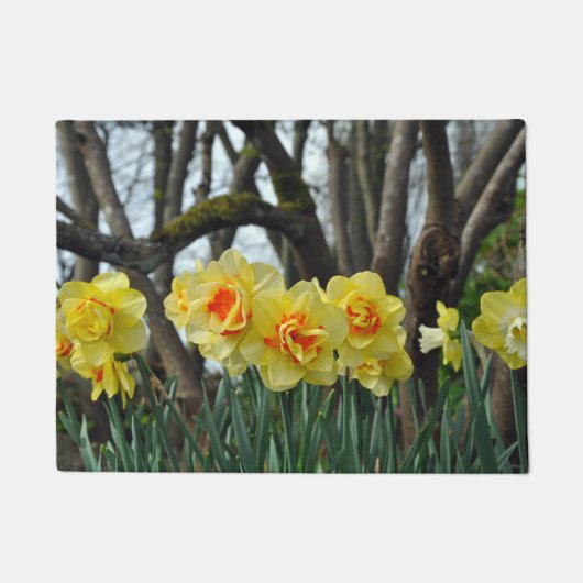 Paillasson Daffodiques de printemps (Devant)