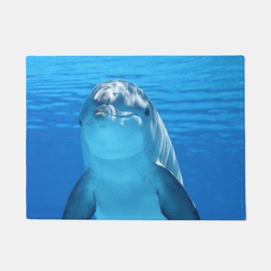 Paillasson Dauphin (Devant)