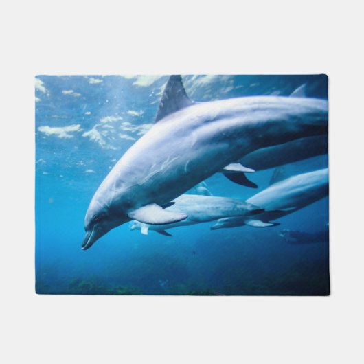Paillasson Dauphins sous-marins (Devant)