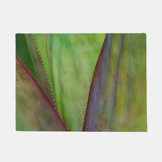 Paillasson Détail du Plante Agave (Devant)