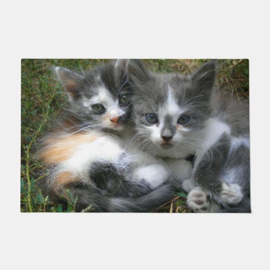 Paillasson Deux chatons (Devant)
