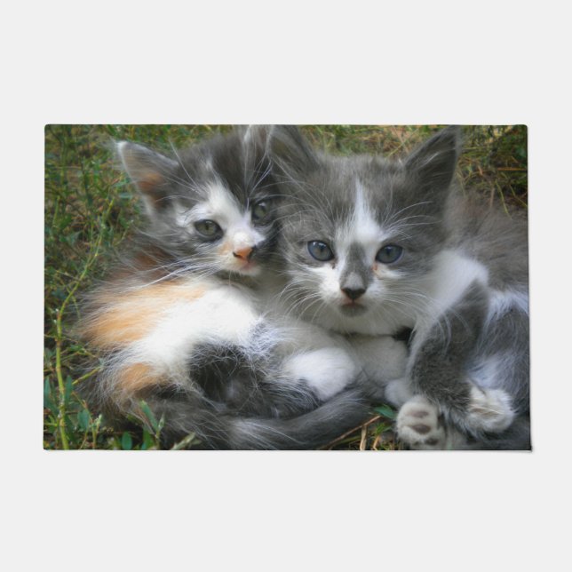 Paillasson Deux chatons (Devant)
