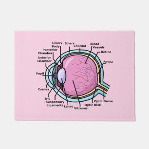 Paillasson Diagramme de l'oeil