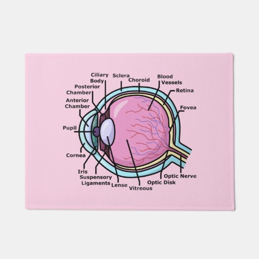 Paillasson Diagramme de l'oeil (Devant)