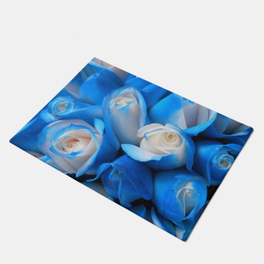 Paillasson Diemudis (Incliné)