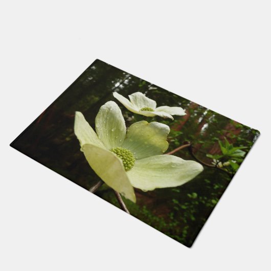 Paillasson Dogwoods et séquoias dans le parc national Yosemit (Incliné)