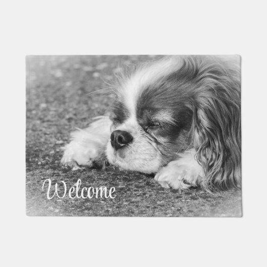 Paillasson Dormir Cavalier (Devant)
