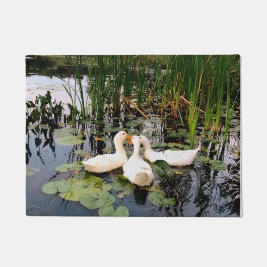 Paillasson Duc blanc, cattails, caleçons, calebasses, concept (Devant)