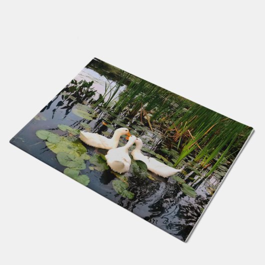 Paillasson Duc blanc, cattails, caleçons, calebasses, concept (Incliné)