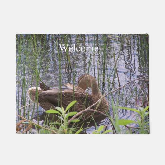 Paillasson Duck Preening in the Reed (Devant)
