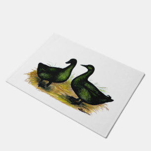 Paillasson Ducks : Cayuga Pair